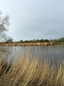 The River Severn by The Glamping Orchard