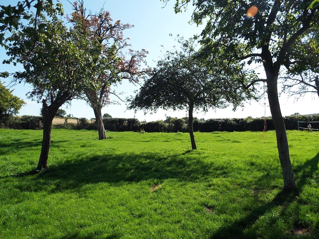 The-Glamping-Orchard