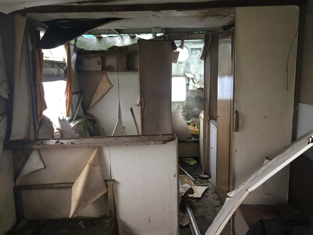 Warwick-Knight-disheveled